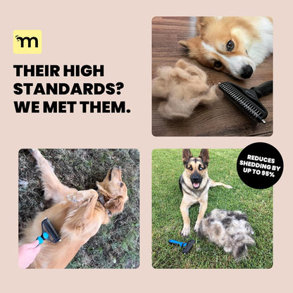 Dog Brush for Shedding - Large, Blue, 2-In-1 - Deshedding Dog Grooming Brush & Undercoat Rake with Dematting Comb for Medium to Large Double Coated